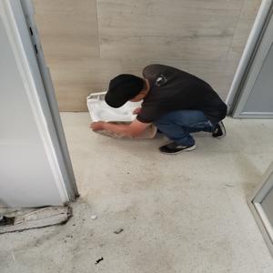 Revisando sanitario